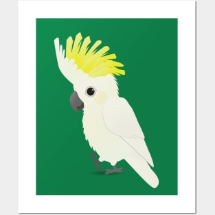 Cute sulphur-crested cockatoo Posters and Art